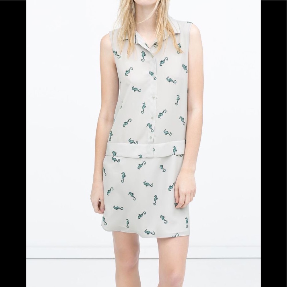 Zara Sleeveless Seahorse Dropped Waist Dress
